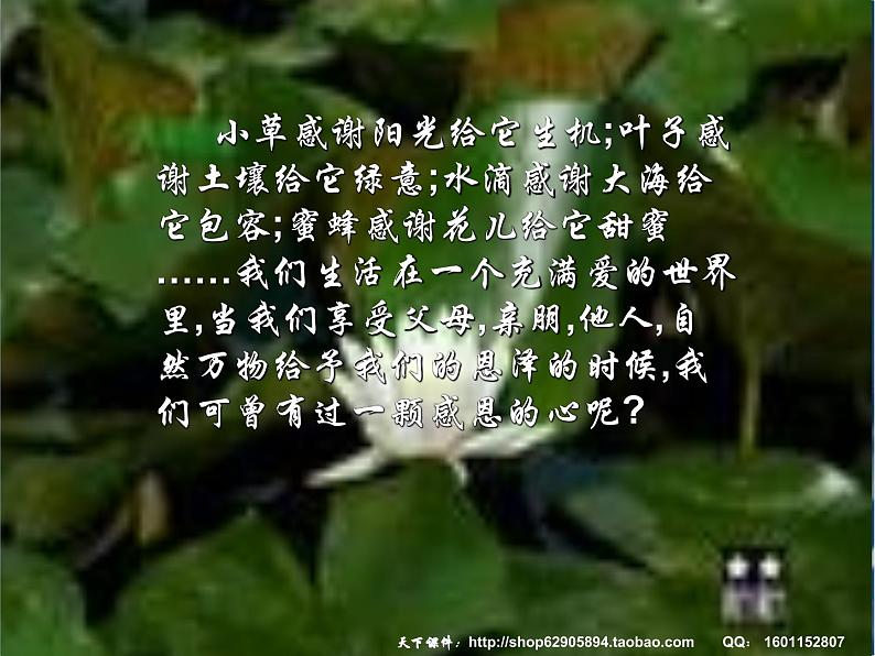 感恩高尚课件02