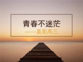 我的青春不迷茫——直面高考 课件