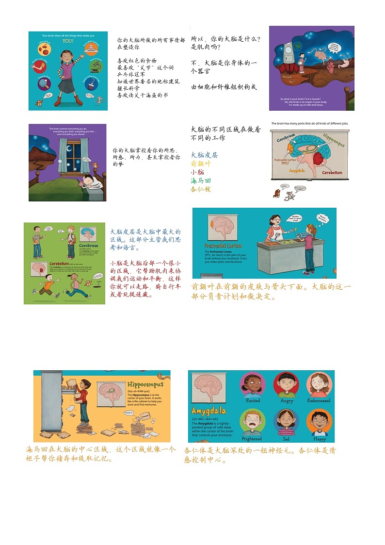 培养成长型思维 课件02