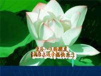 班会课件：如何处理与他人关系.ppt