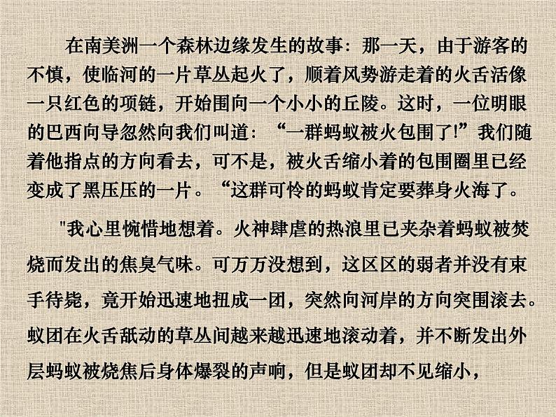 团结就是力量主题班会课件07