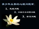 早恋_主题班会课件