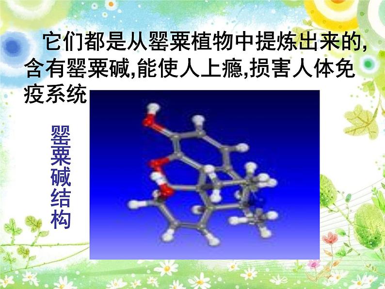 远离毒品 让生命之树长青课件04