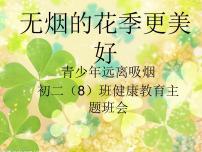 无烟的花季更美好 (2)课件