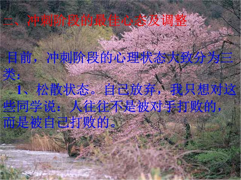 中考冲刺课件05