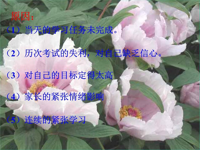 中考冲刺课件08