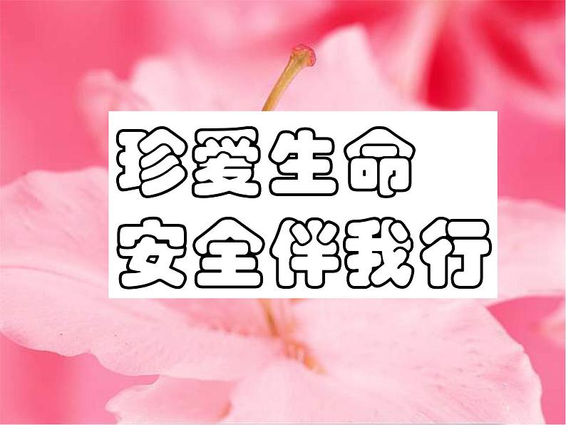 安全教育主题班会.ppt02