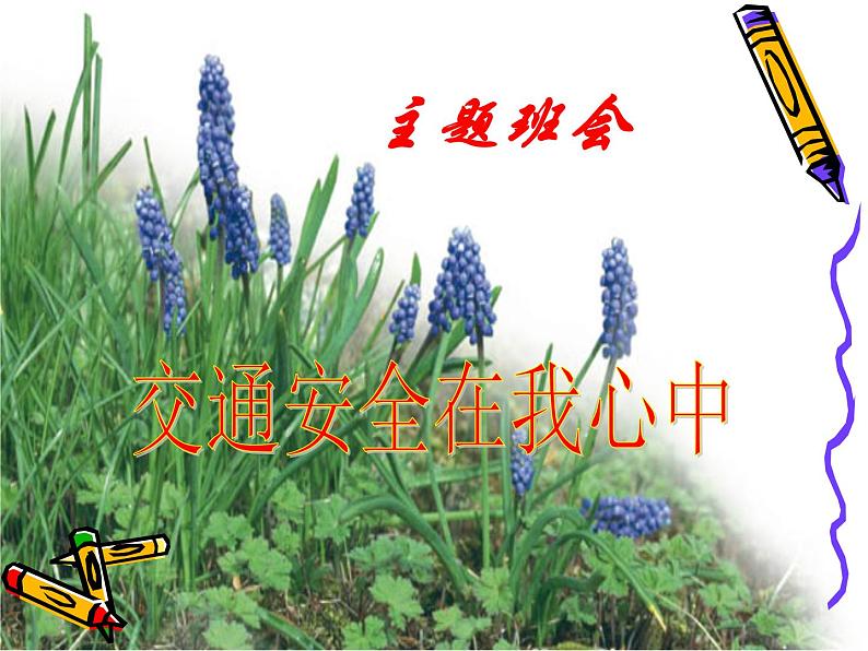 主题班会：交通安全在我心中ppt第1页