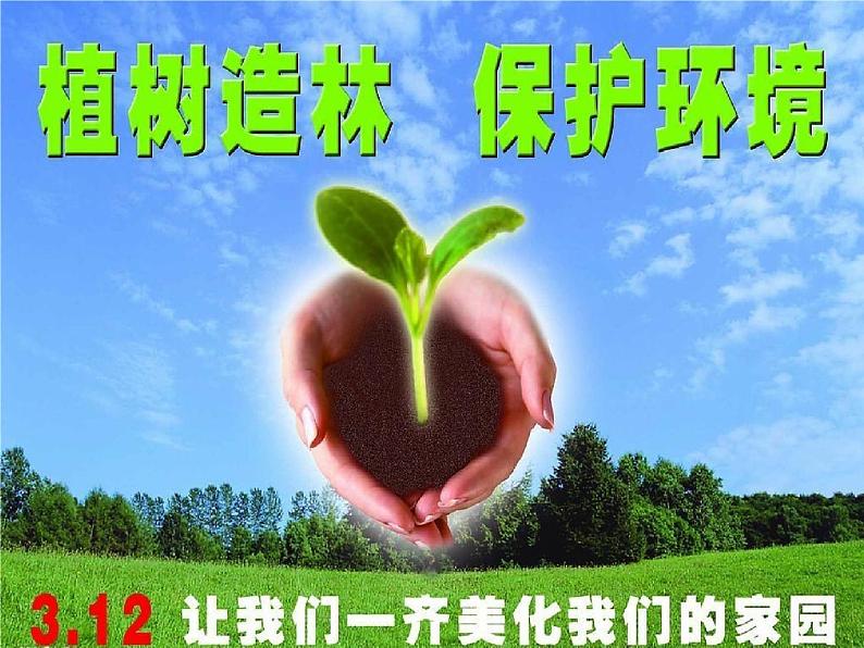 小学主题班会《植树节：植树造林，保护环境》教学课件PPT 植树节3月12日活动主题班会03