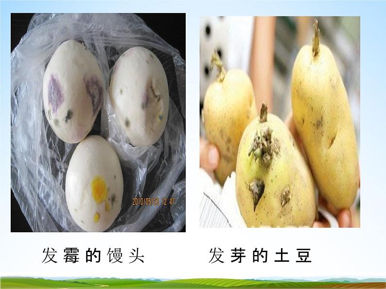 小学主题班会《预防食物中毒：如何预防食物中毒》教学课件04