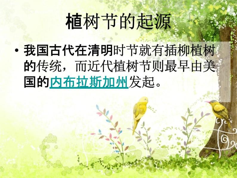 小学主题班会《植树节：爱绿护绿培绿》教学课件04