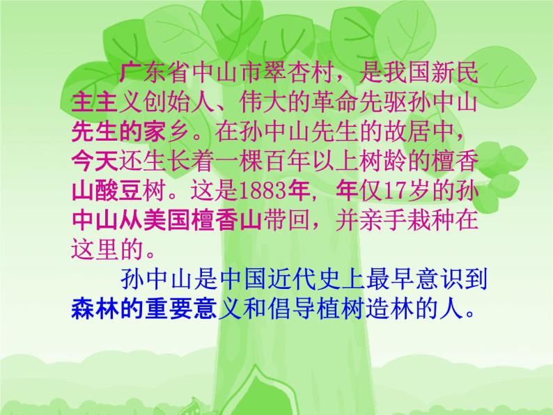 小学主题班会《植树节：绿色家园》教学课件PPT 植树节3月12日活动主题班会07