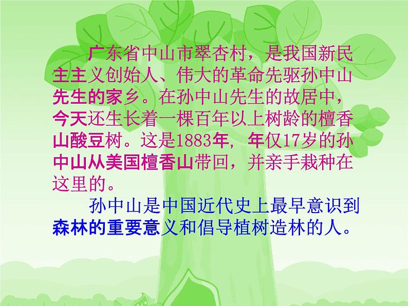 小学主题班会《植树节：绿色家园》教学课件PPT 植树节3月12日活动主题班会07