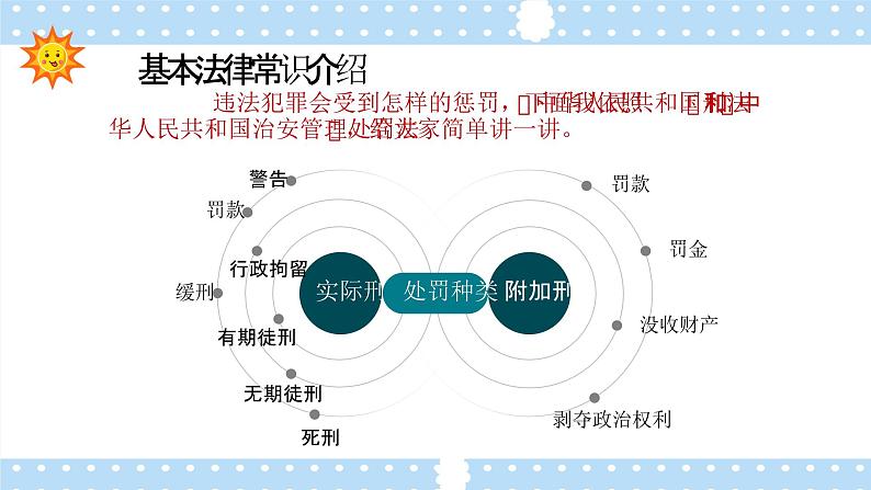 校园法律宣传主题班会 课件第7页