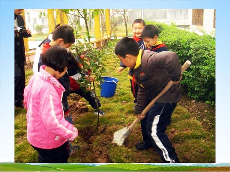 小学主题班会《植树节主题班会》教学课件 植树节3月12活动主题班会06