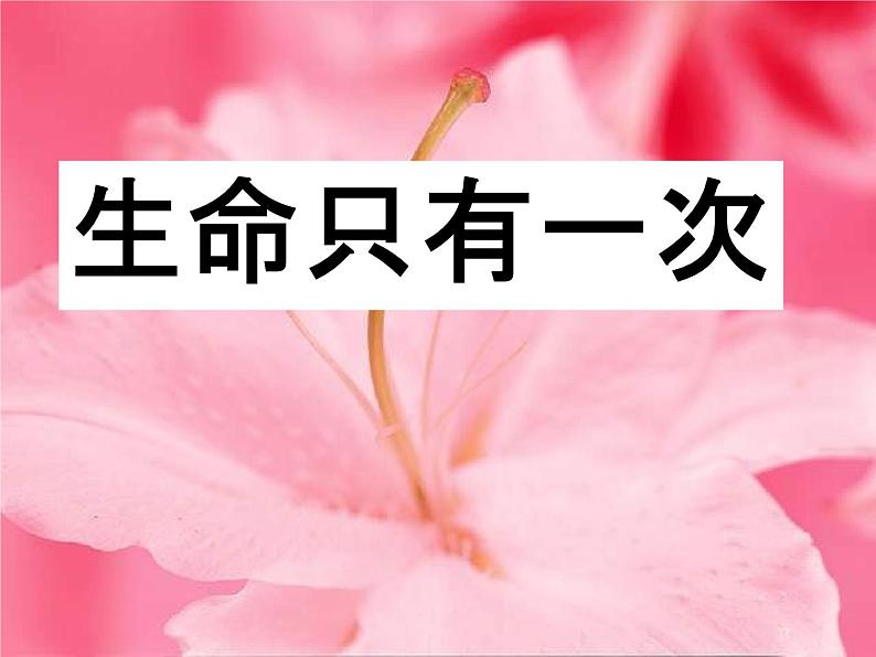 小学主题班会《校园安全教育：营造校园安全氛围》教学课件08