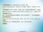 中小学主题班会《防止校园欺凌教育：预防校园暴力》教学课件