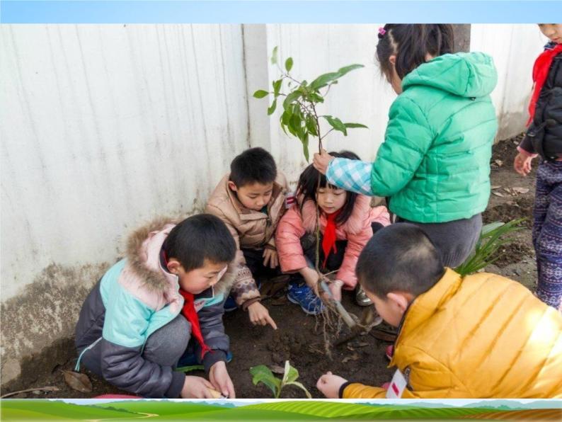 小学主题班会《植树节：呼唤明天的绿色》教学课件 植树节3月12日活动主题班会07