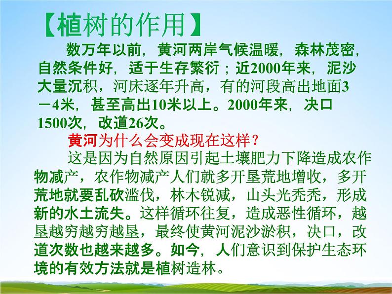 小学主题班会《植树节：爱绿植绿护绿》教学课件 植树节3月12日活动主题班会06