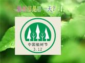 小学主题班会《植树节主题班会》教学课件植树节3.12活动主题班会