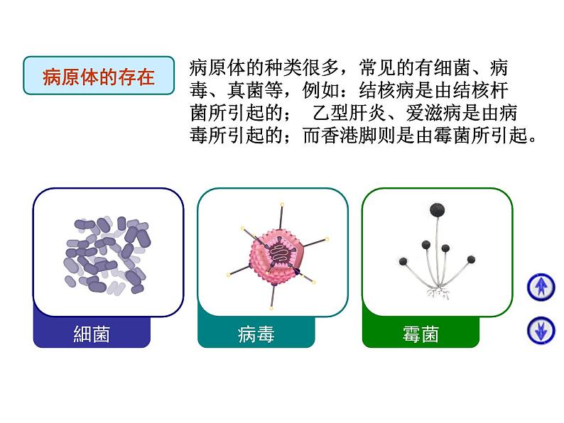 传染病防治知识课件第5页