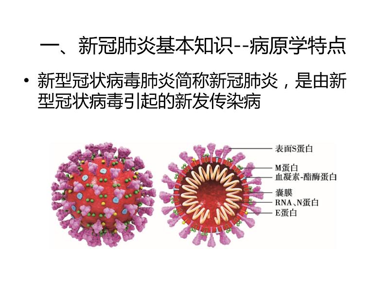 新冠肺炎疫情防控专题主题班会课件03