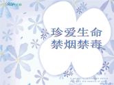 珍爱生命禁毒主题班会课件