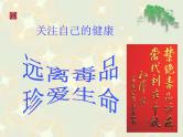 珍爱生命禁毒主题班会课件
