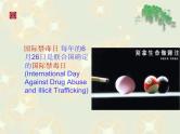 珍爱生命禁毒主题班会课件