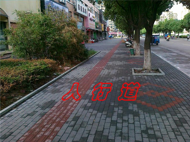 小学生交通安全课件04