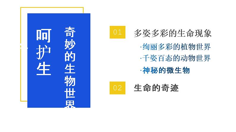 生命生态安全 主题班会课件02