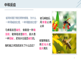 10.2 酸和碱的中和反应-人教版化学九年级下册同步优质课件（含视频素材）