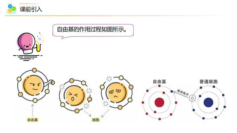 （人教2019高中化学必修第一册）第一章：物质及其变化第07讲 常见的氧化剂与还原剂、氧化还原规律（PPT课件）08