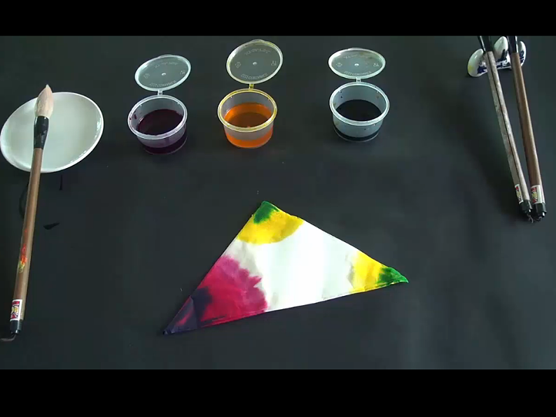 人教版二年级美术上册 第2课 染色游戏课件PPT04