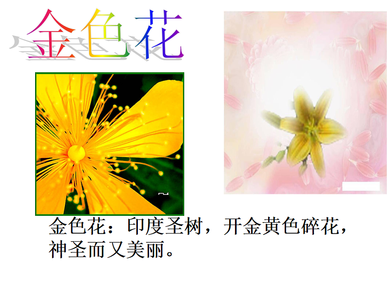 部编版语文七年级上册 7  散文诗两首（课件+教案+朗读）01