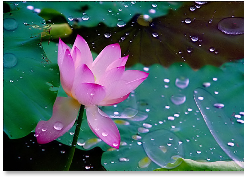 部编版语文七年级上册 7  散文诗两首（课件+教案+朗读）05