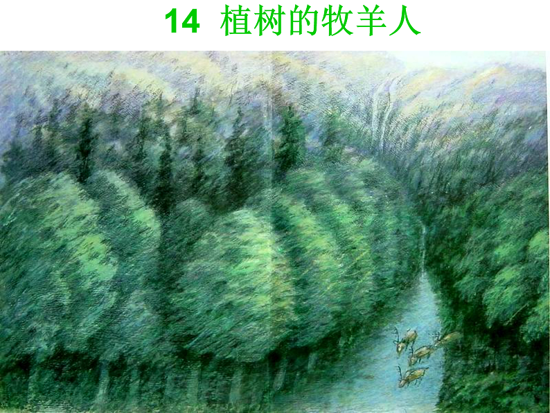 部编版语文七年级上册 13  植树的牧羊人（课件+教案+朗读）01