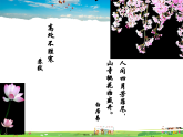 人教版数学八年级下册-19.1.1 第1课时 常量与变量课件PPT