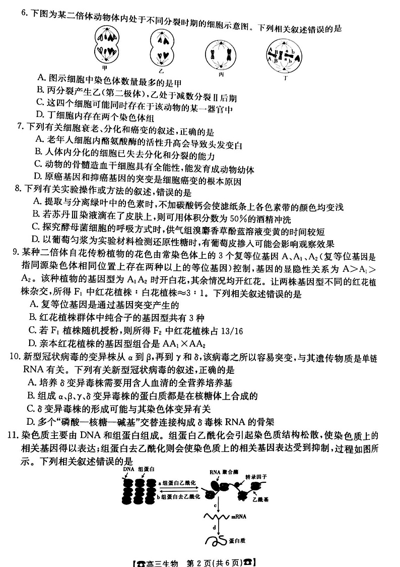 甘肃省靖远县第四中学2022届高三上学期10月月考生物试题第2页
