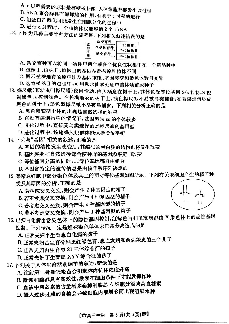 甘肃省靖远县第四中学2022届高三上学期10月月考生物试题 扫描版含答案03