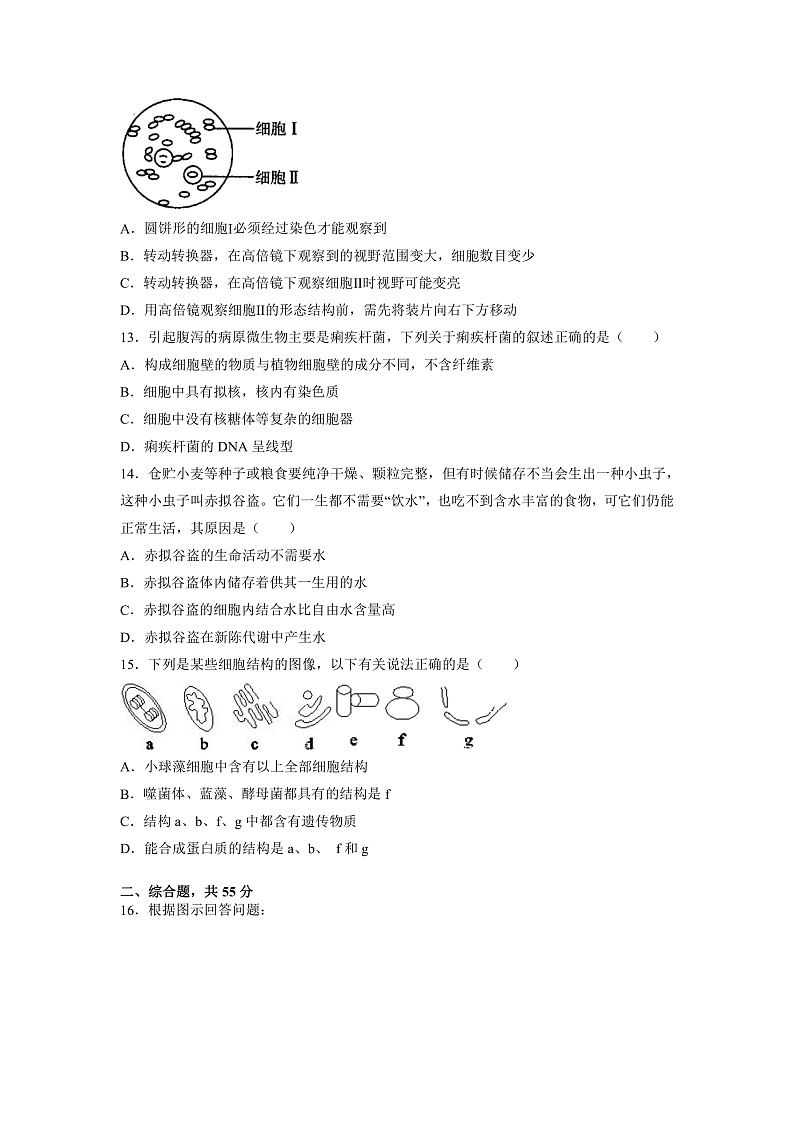 新疆维吾尔自治区疏附县第一中学2021-2022学年高一上学期期中考试生物试题 含答案03