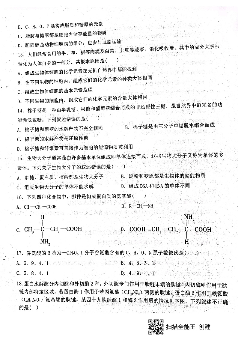 河南省商丘市第一高级中学2021-2022学年高一上学期10月月考生物试题 扫描版含答案03
