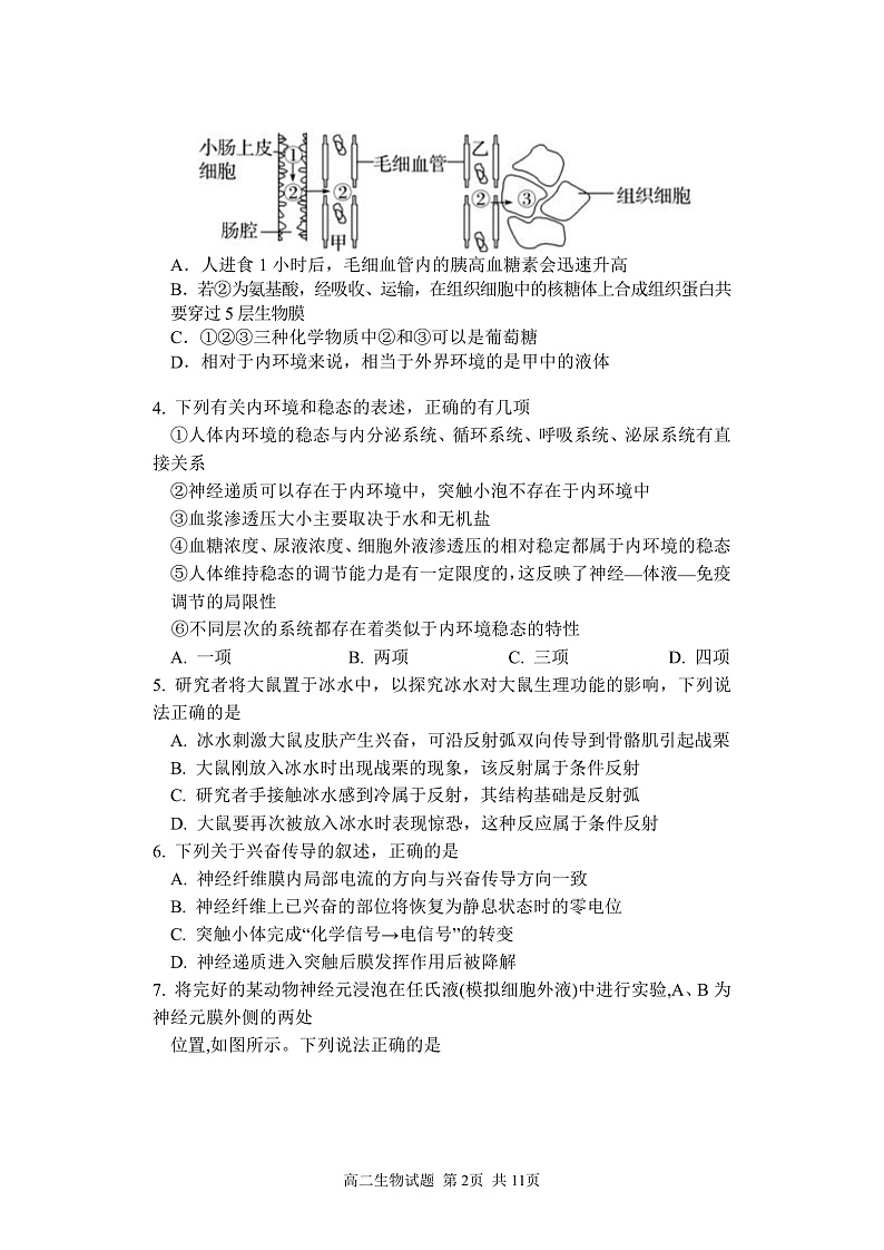 山西省芮城中学2021-2022学年高二上学期10月阶段性月考生物试题 含答案02