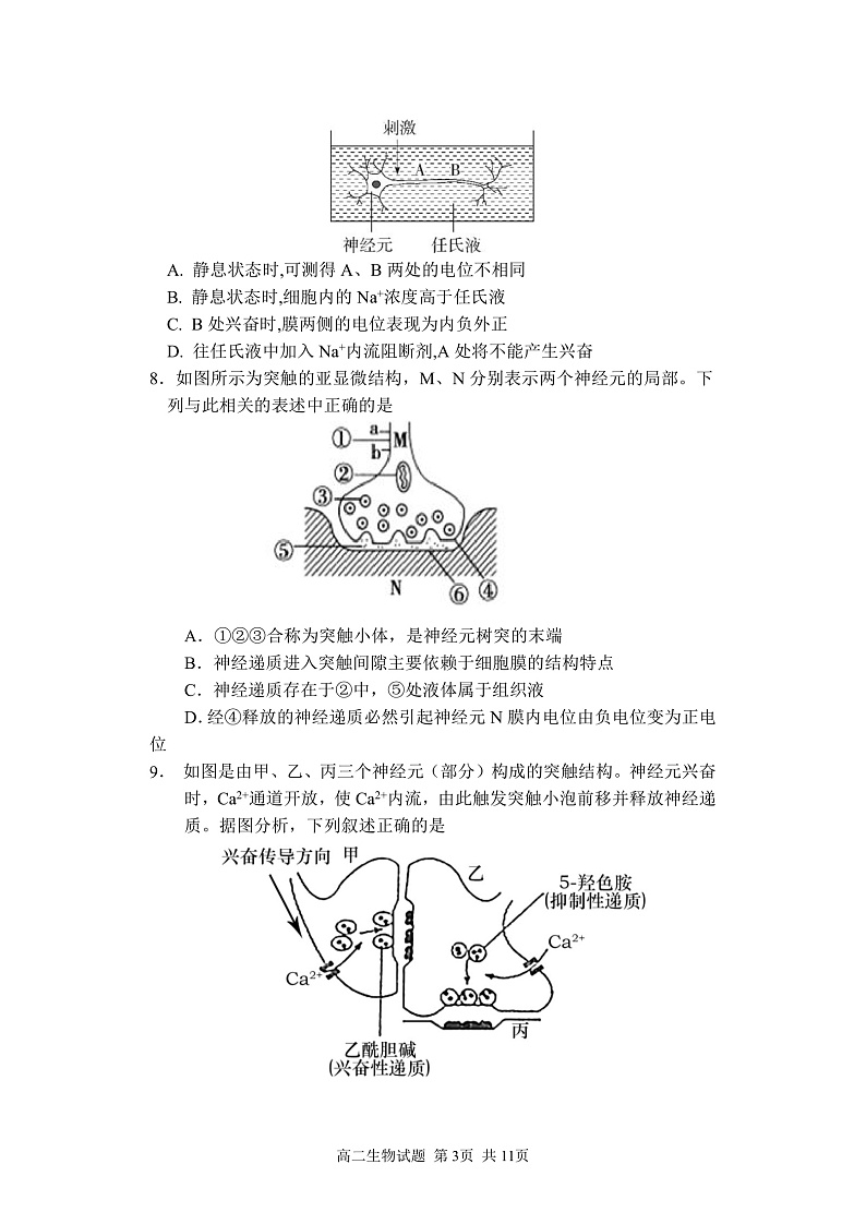 山西省芮城中学2021-2022学年高二上学期10月阶段性月考生物试题 含答案03