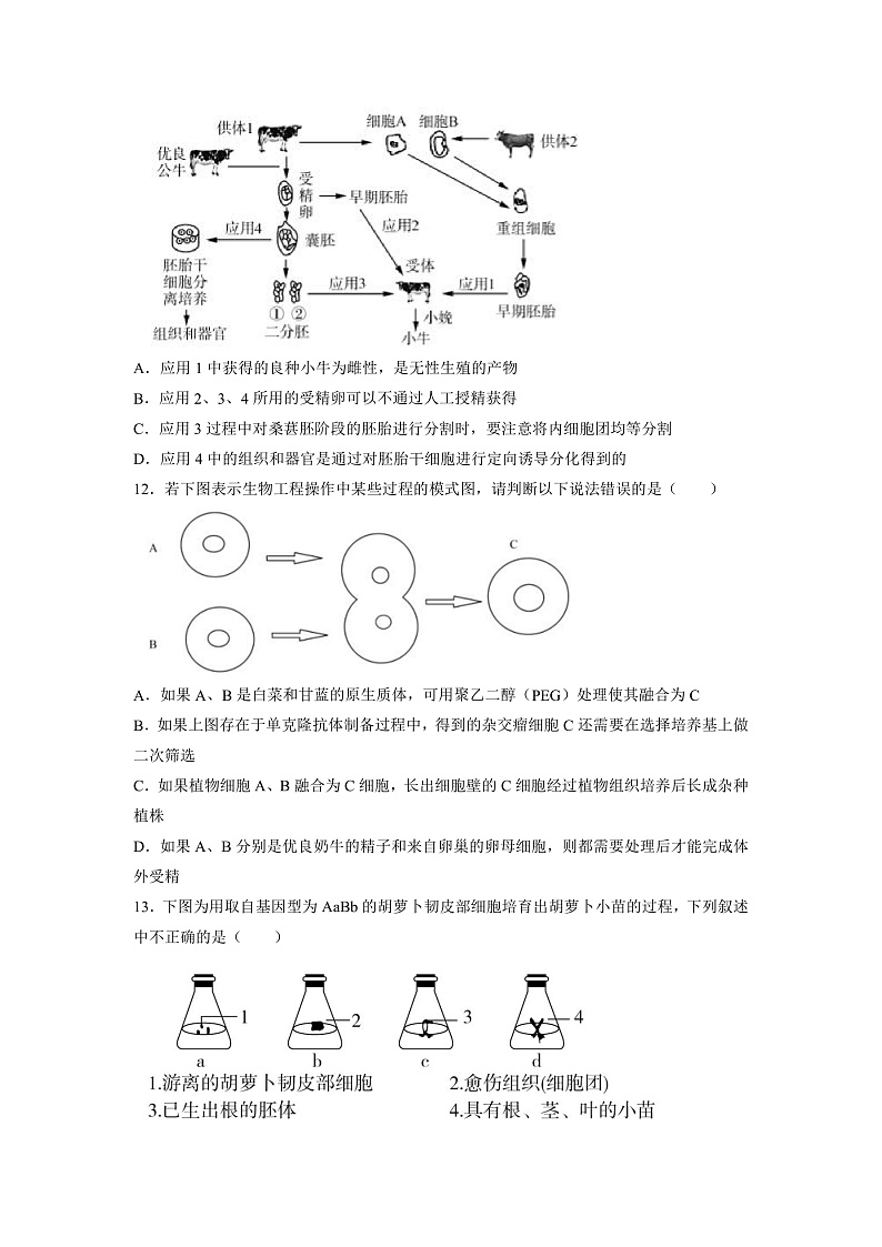 新疆维吾尔自治区疏附县第一中学2022届高三上学期期中考试生物试题 含答案03