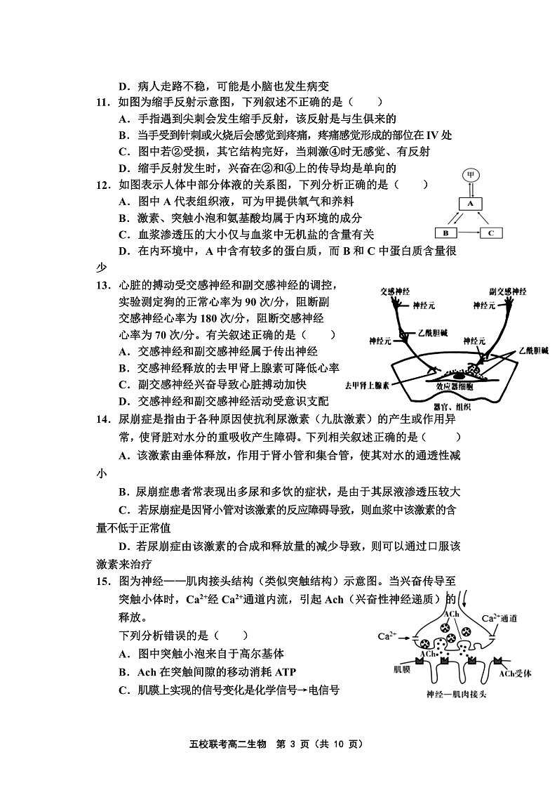 天津市五校联考2021-2022学年高二上学期期中考试生物试题含答案03