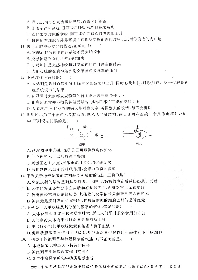 湖北省部分高中联考协作体2021-2022学年高二上学期期中考试生物试题扫描版含答案03