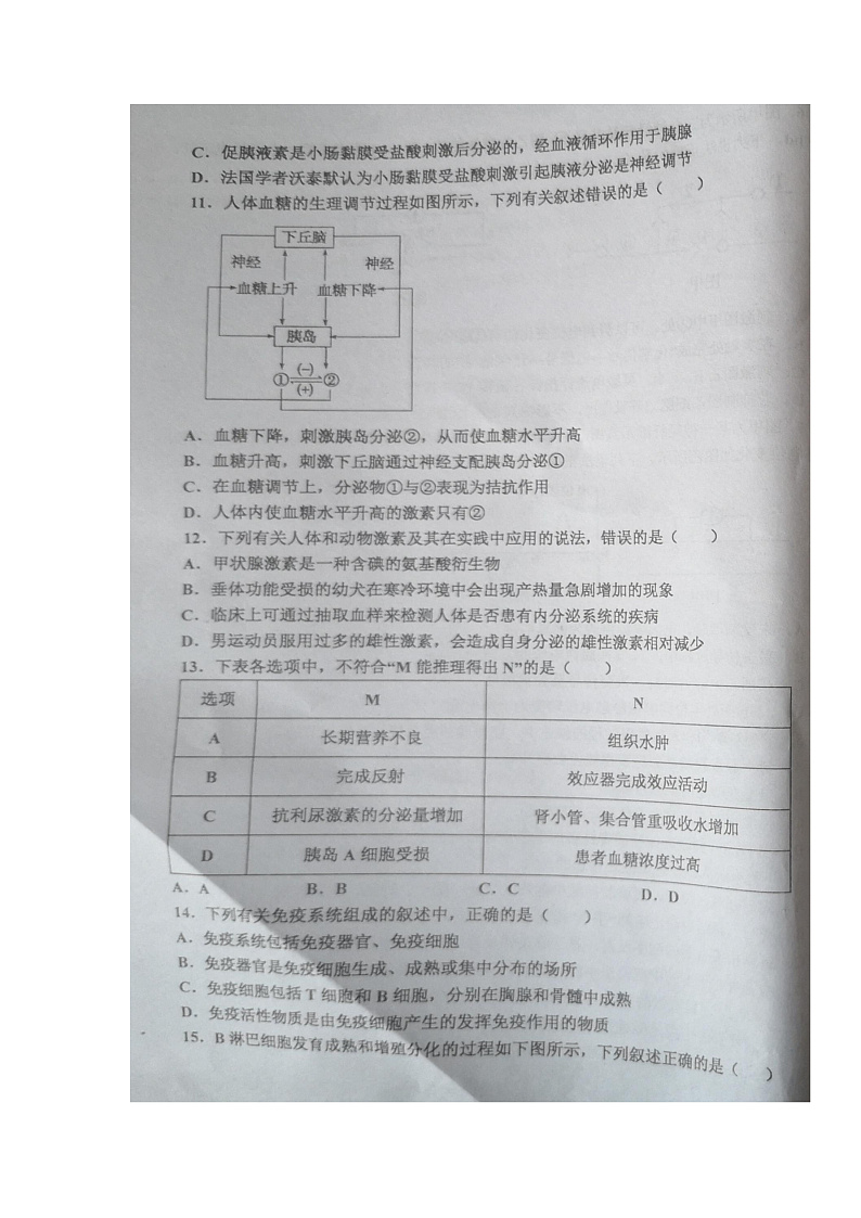 辽宁省辽东南协作体2021-2022学年高二上学期期中考试生物试题第3页
