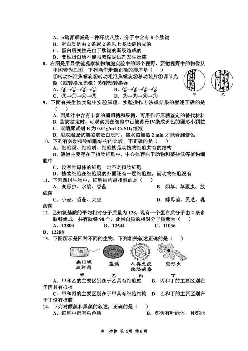 陕西省宝鸡市金台区2021-2022学年高一上学期期中考试生物试题含答案02