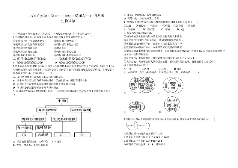 河北省石家庄市实验中学2021-2022学年高一上学期11月月考试题生物含答案01